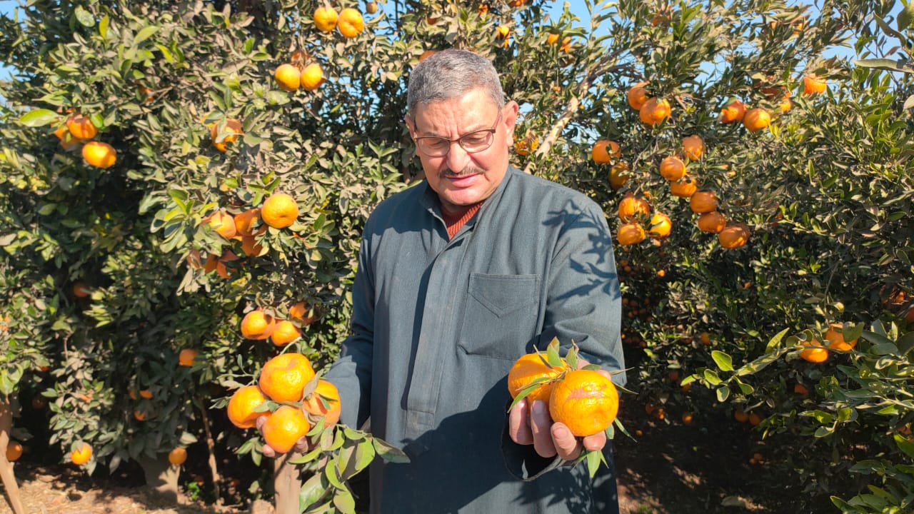 حصاد اليوسفي