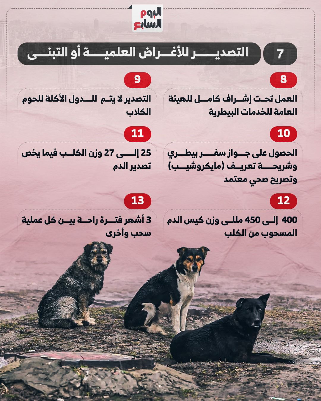 التصدير للأغراض العلمية أو التبنى