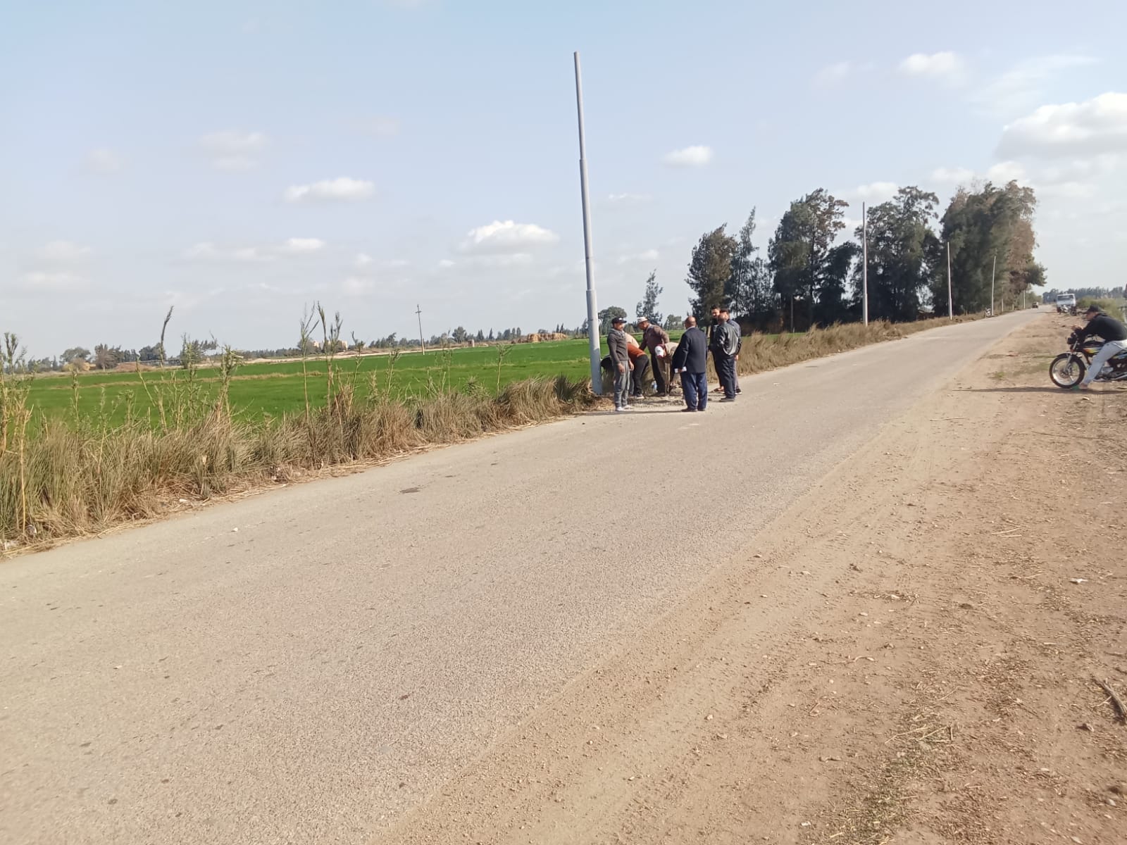 تركيب 30 عمود كهرباء جديد بطريق بيلا – الجرايدة