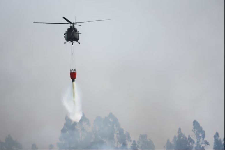 حرائق غابات فى الشتاء.. إجلاء السكان فى تشيلى بعد تمدد النيران إلى المنازل (1)