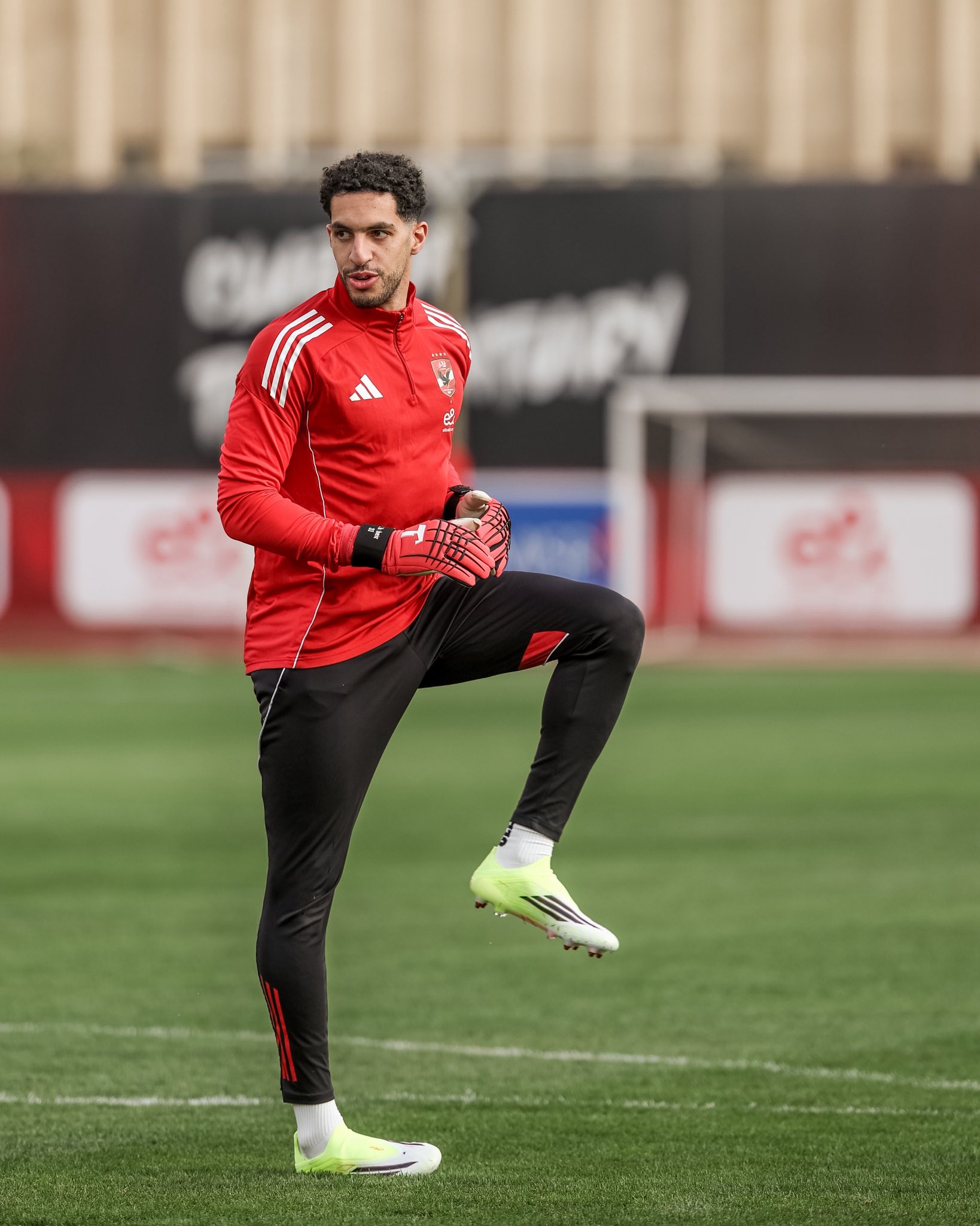 مصطفى شوبير