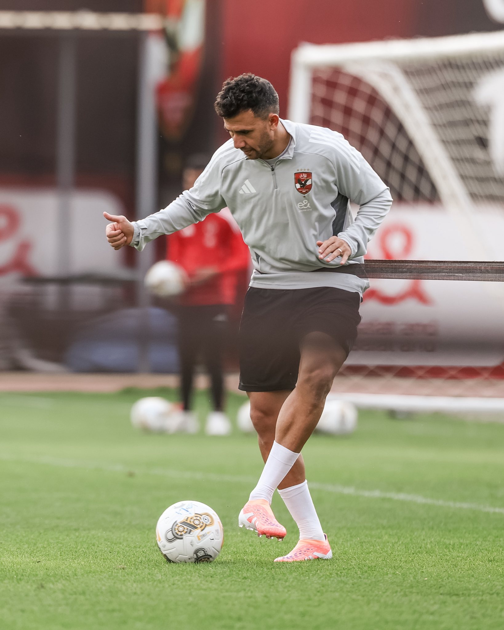 محمود حسن تريزيجيه