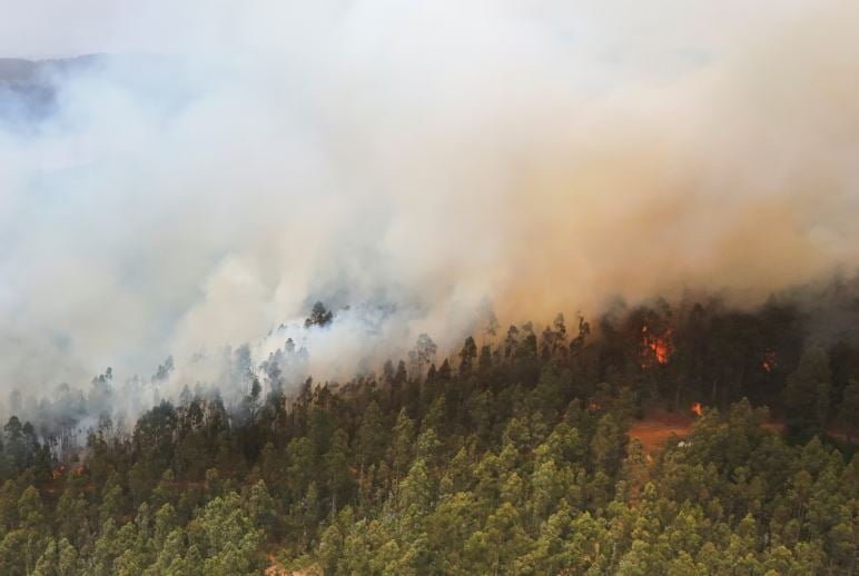 حرائق غابات فى الشتاء.. إجلاء السكان فى تشيلى بعد تمدد النيران إلى المنازل (6)