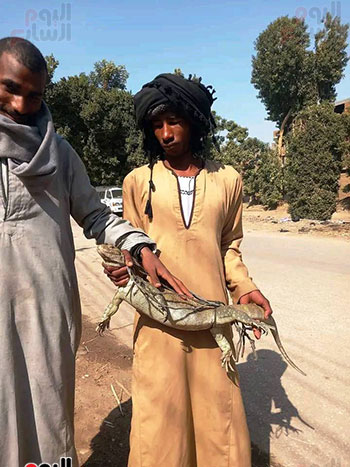 شباب-البلدة-خلال-اصطيادهم-ورل-نيلي-بالترعة شباب-البلدة-خلال-اصطيادهم-ورل-نيلي-بالترعة