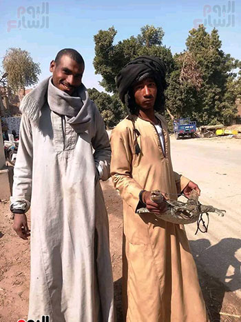 شاب-من-قرية-المساوية-خلال-اصطياد-الورل-النيلي شاب-من-قرية-المساوية-خلال-اصطياد-الورل-النيلي