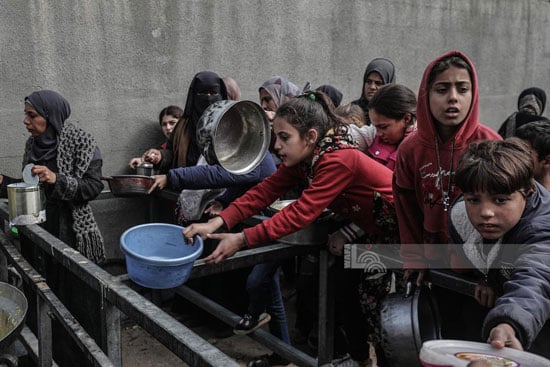 معركة الأوانى الفارغة فى قطاع غزة معركة الأوانى الفارغة فى قطاع غزة