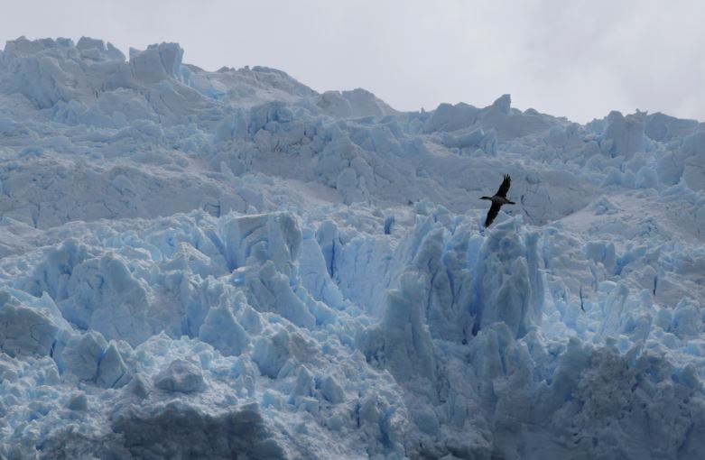 على حافة العالم.. الحديقة الوطنية فى تشيلي نقطة التقاء الأمريكتان بالقارة القطبية الجنوبية (3)