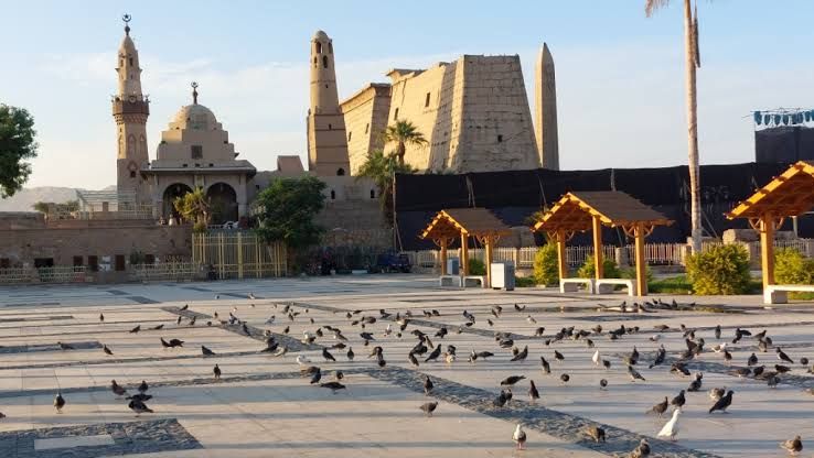 مولد سيدي أبو الحجاج يتجهز للإنطلاق يوم الإثنين القادم