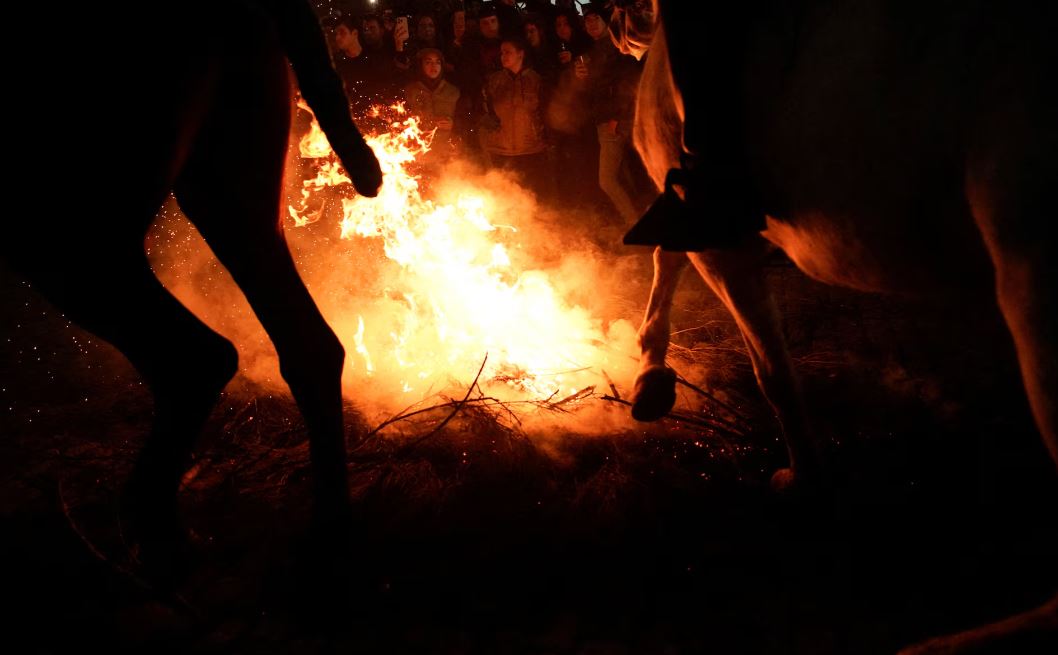 خيول طهرتها النار   يمتطي المحتفلون خيولهم عبر الدخان واللهب لتطهير حيواناتهم خلال احتفال لومينارياس في قرية سان بارتولومي دي بيناريس الإسبانية (9)