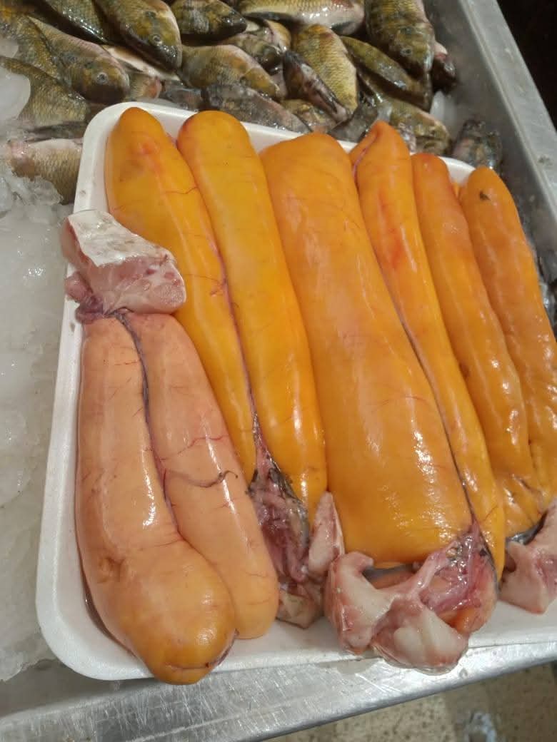 اسماك الفوارغ بأسواق دمياط