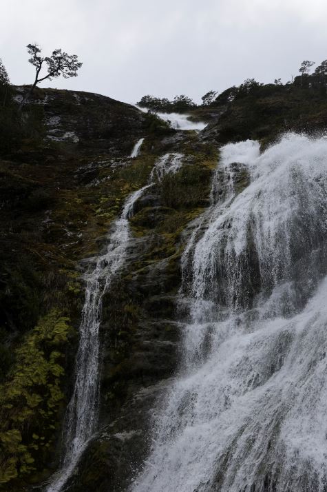 على حافة العالم.. الحديقة الوطنية فى تشيلي نقطة التقاء الأمريكتان بالقارة القطبية الجنوبية (9)
