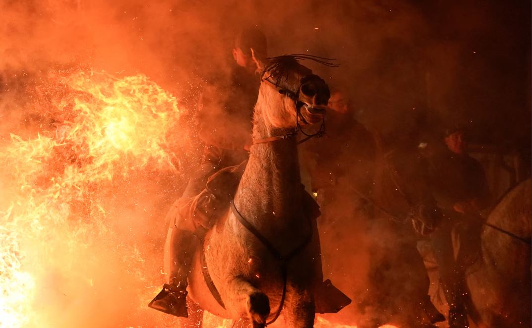 خيول طهرتها النار   يمتطي المحتفلون خيولهم عبر الدخان واللهب لتطهير حيواناتهم خلال احتفال لومينارياس في قرية سان بارتولومي دي بيناريس الإسبانية (5)