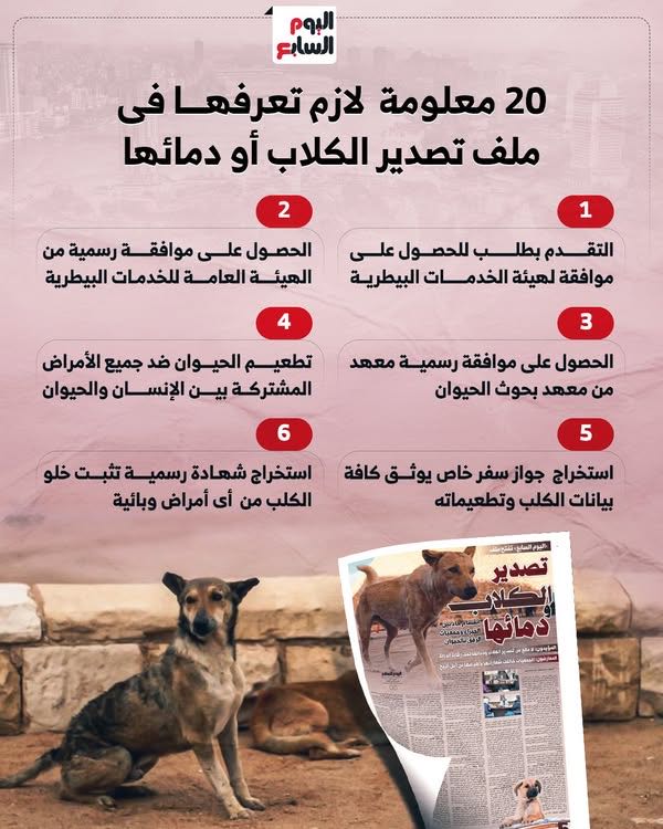 20 معلومة بملف تصدير الكلاب