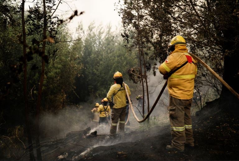 حرائق غابات فى الشتاء.. إجلاء السكان فى تشيلى بعد تمدد النيران إلى المنازل (5)