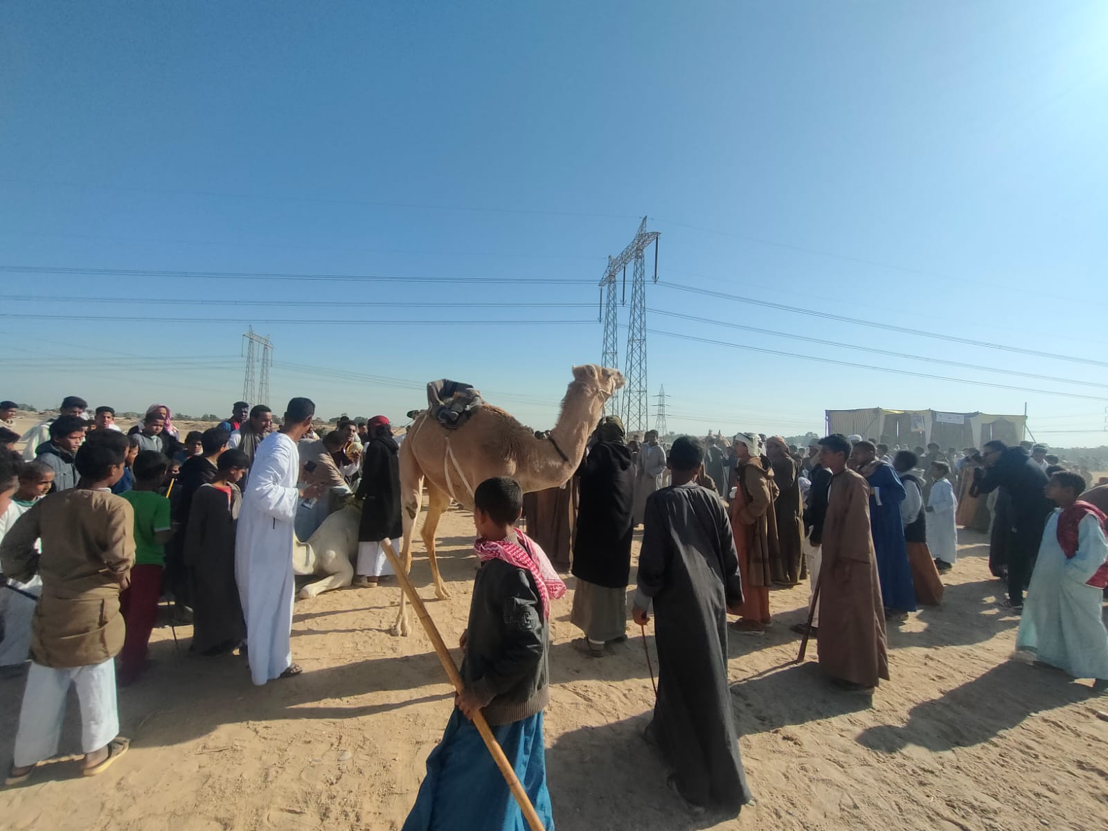 بهجة الأطفال بالمشاركة فى سباقات الهجن والجمال