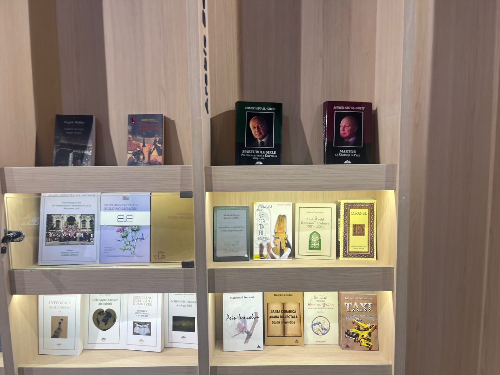 كتاب أحمد أبو الغيط داخل جناح رومانيا