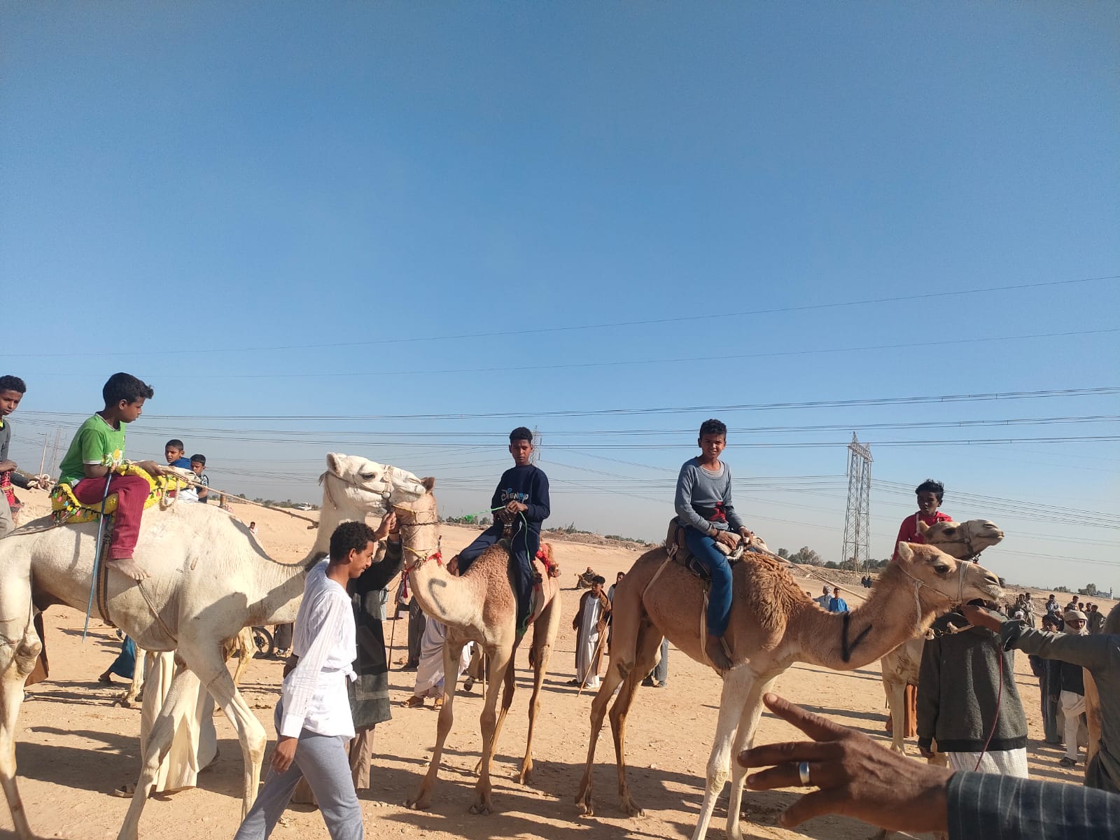 أطفال إسنا يستمتعون بالمشاركة فى سباقات الهجن