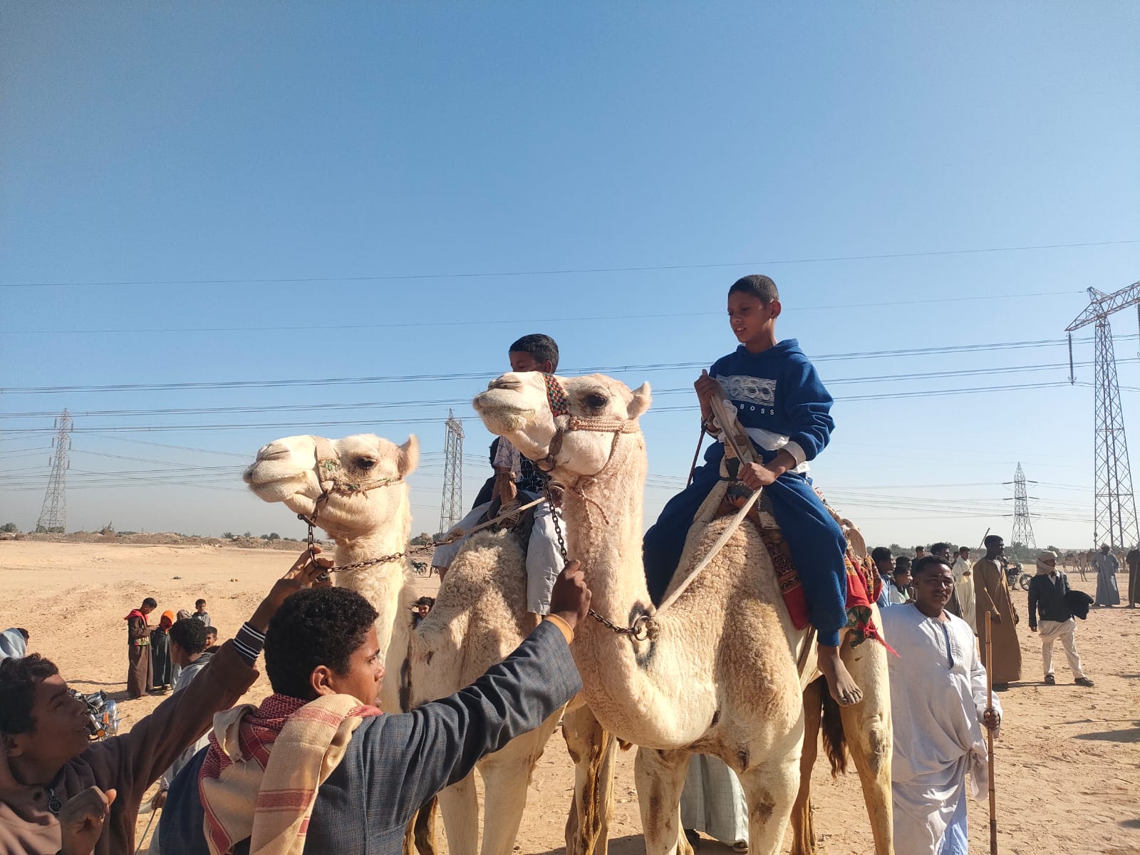 سباقات الهجن تستعد للإنطلاق فى جبال جنوب الأقصر