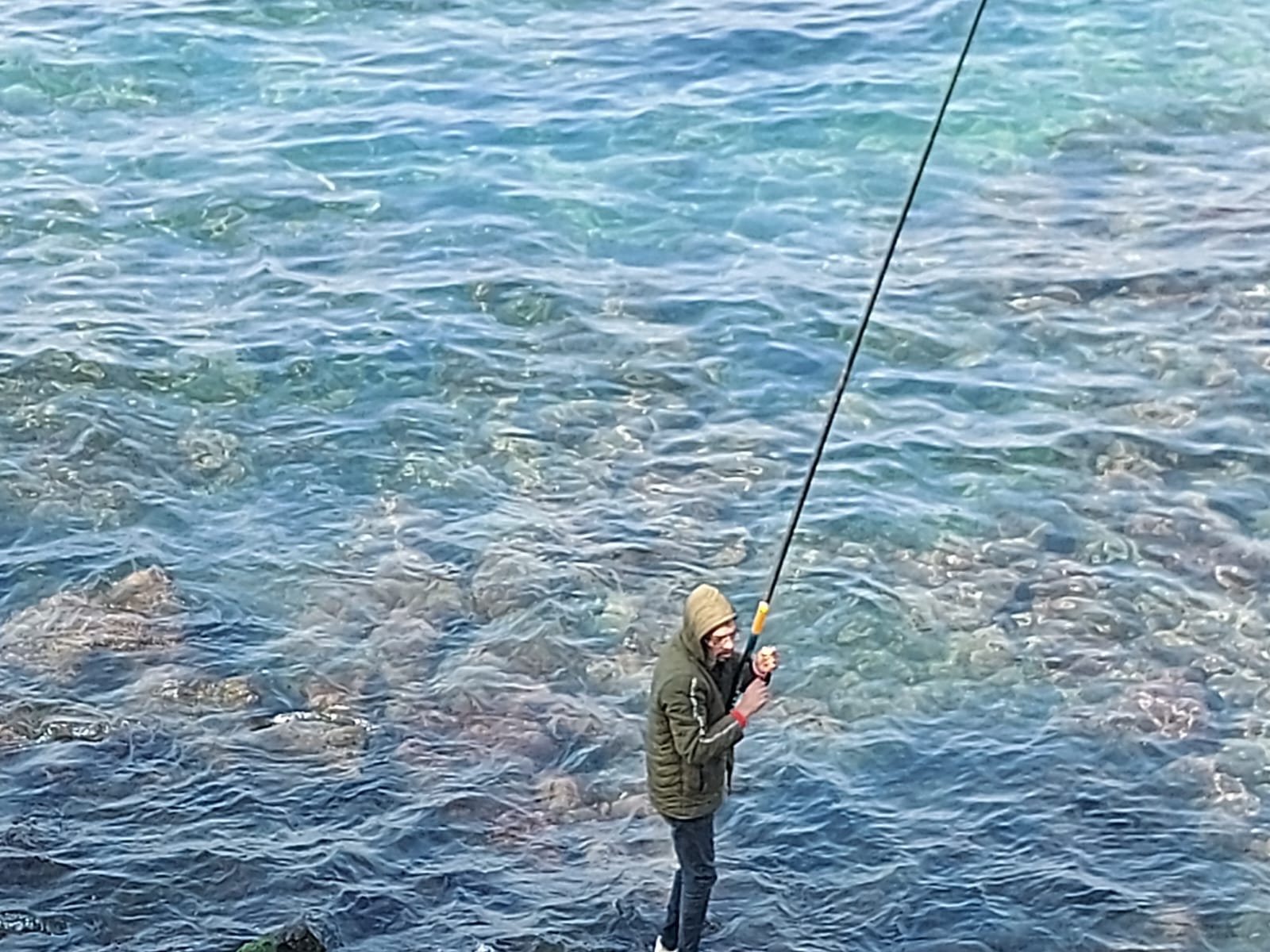 صيد السنارة صيد السنارة