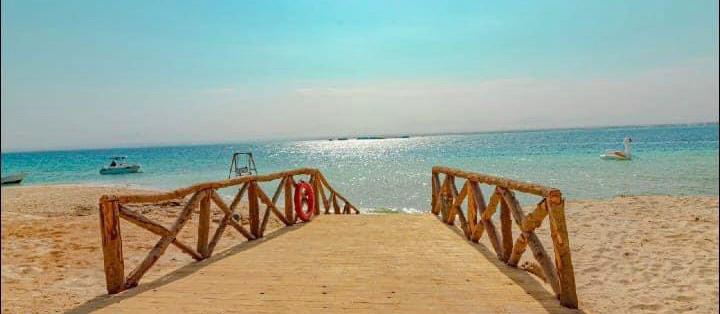 مجاويش افضل جزر،البحر الأحمر