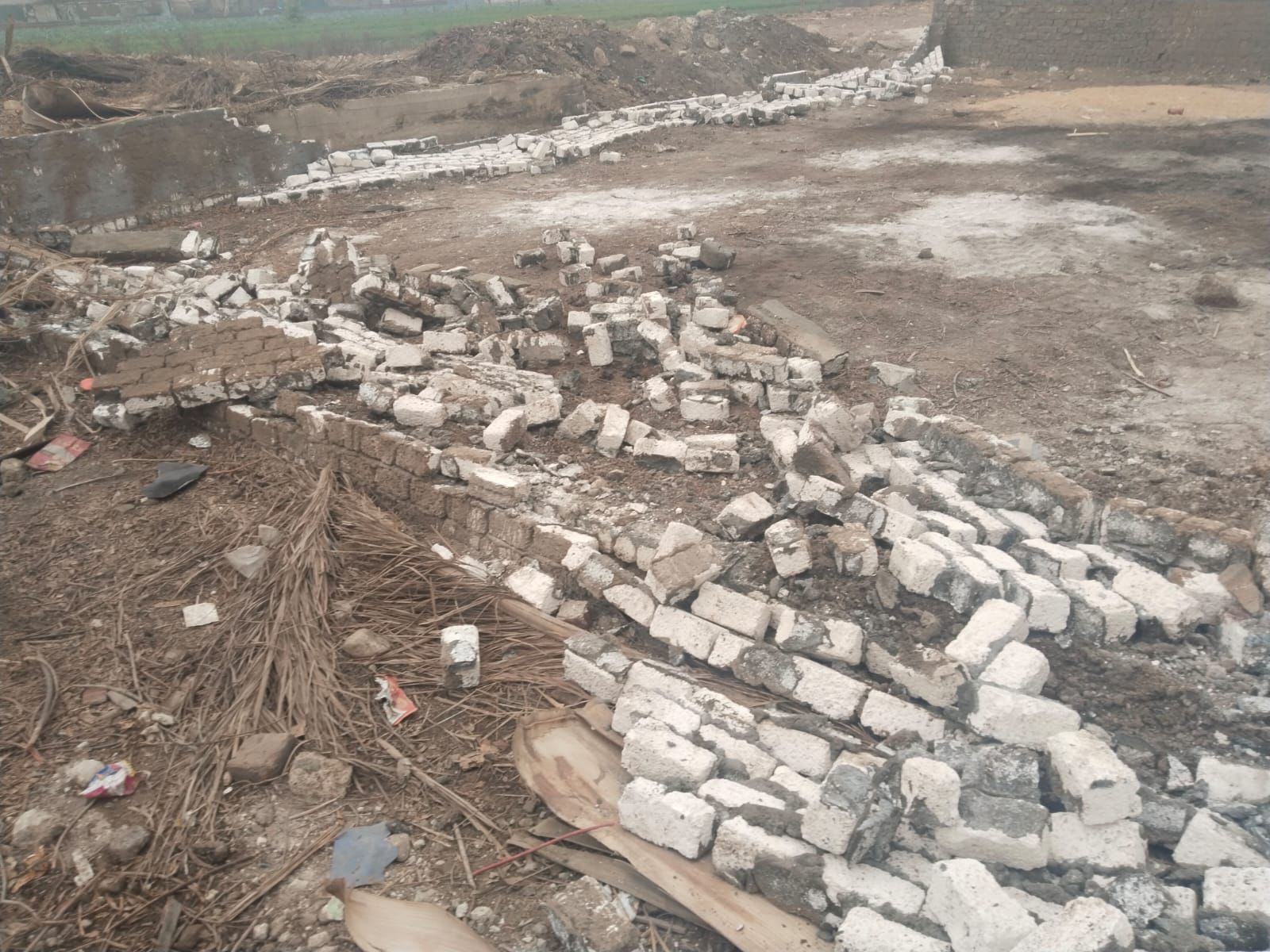 إزالة تعديات على الأراضي في أوسيم (1)