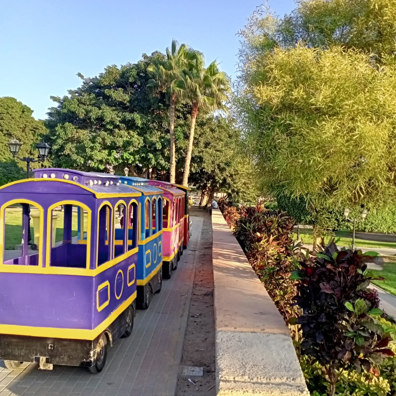 جولات الطفطف جولات الطفطف