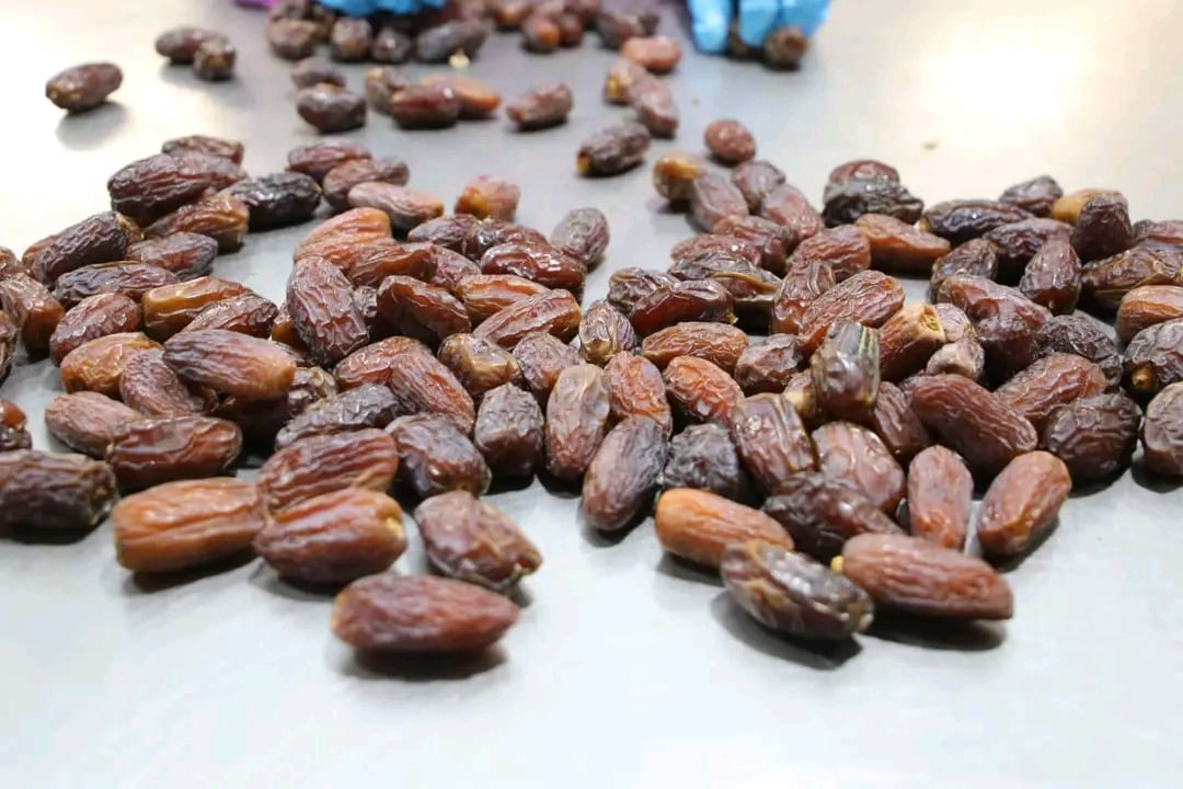 بلح المجدول بالمجمع الحكومى بلح المجدول بالمجمع الحكومى