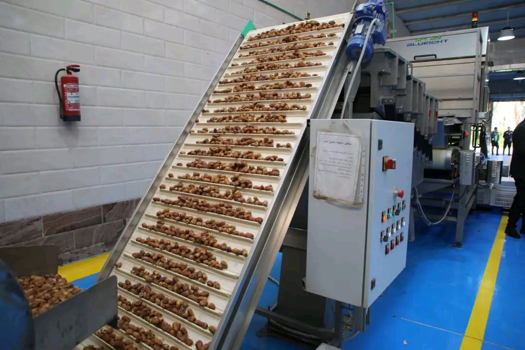 خط انتاج التمور بالمجمع الحكومى خط انتاج التمور بالمجمع الحكومى