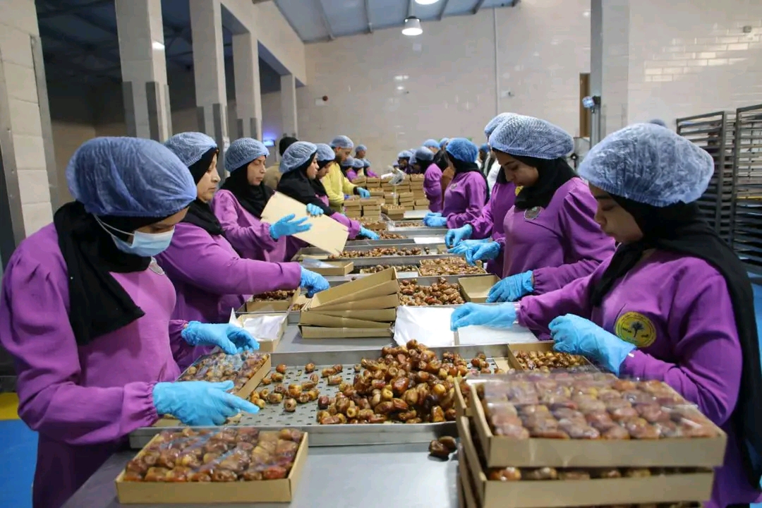 موسم مبشر للتمور قبل شهر رمضان المبارك موسم مبشر للتمور قبل شهر رمضان المبارك