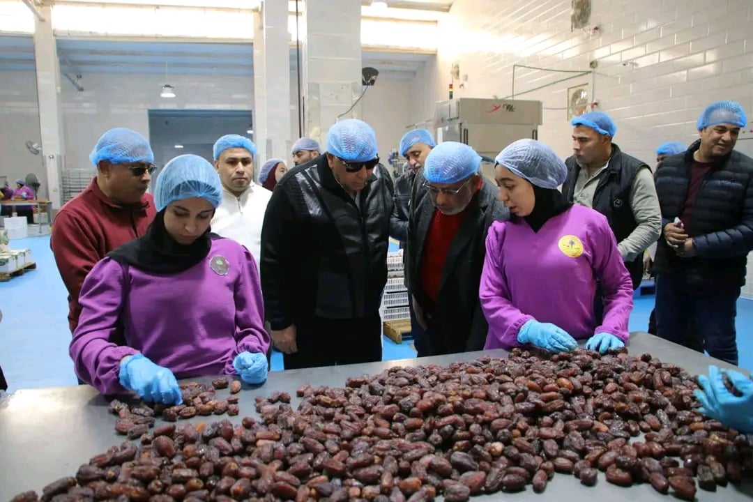 المحافظ يتابع تجهيز شحنات التصدير للخارج المحافظ يتابع تجهيز شحنات التصدير للخارج