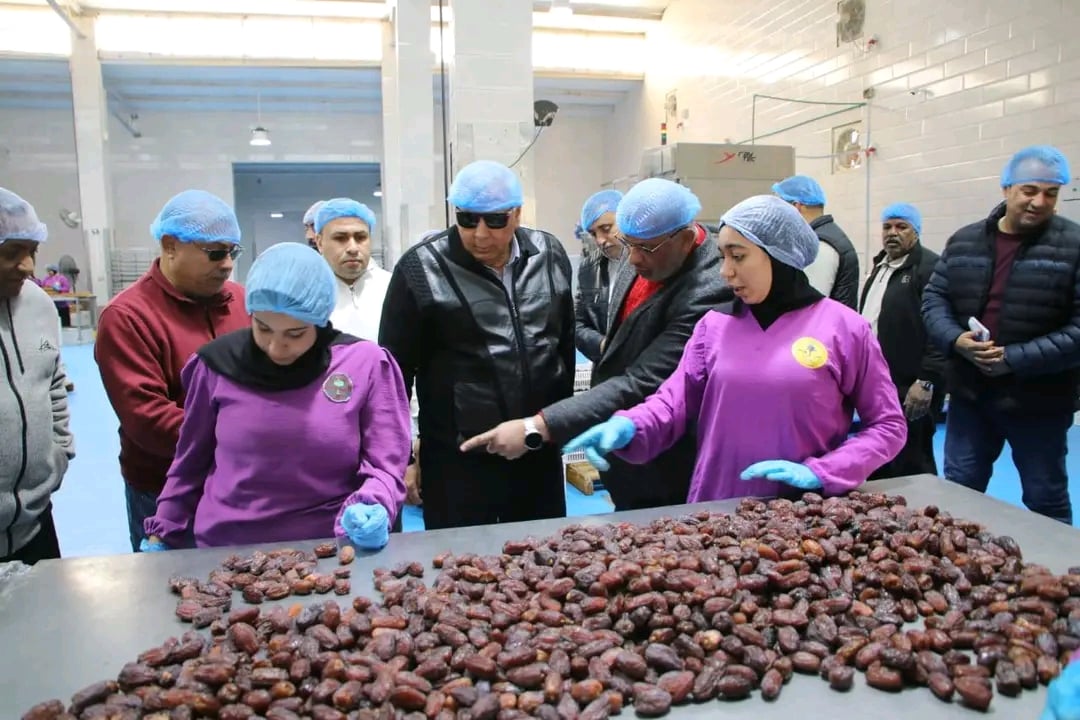 جانب من عمل مجمع تمور الوادى الجديد جانب من عمل مجمع تمور الوادى الجديد