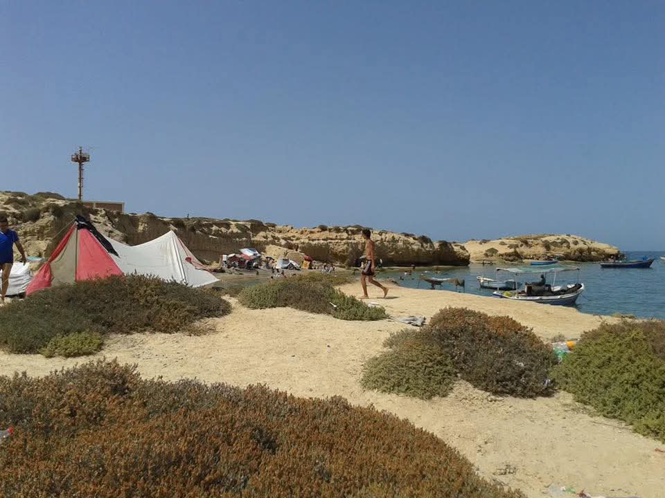 استقبال الرحلات