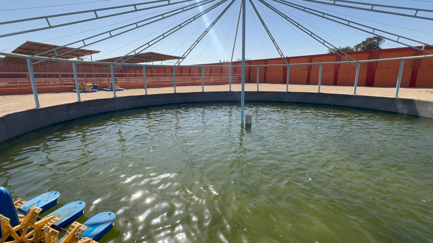 تجهيزات المزرعة النموذجية للإنتاج السمكى والحيوانى بقرية الرزيقات غرب الأقصر