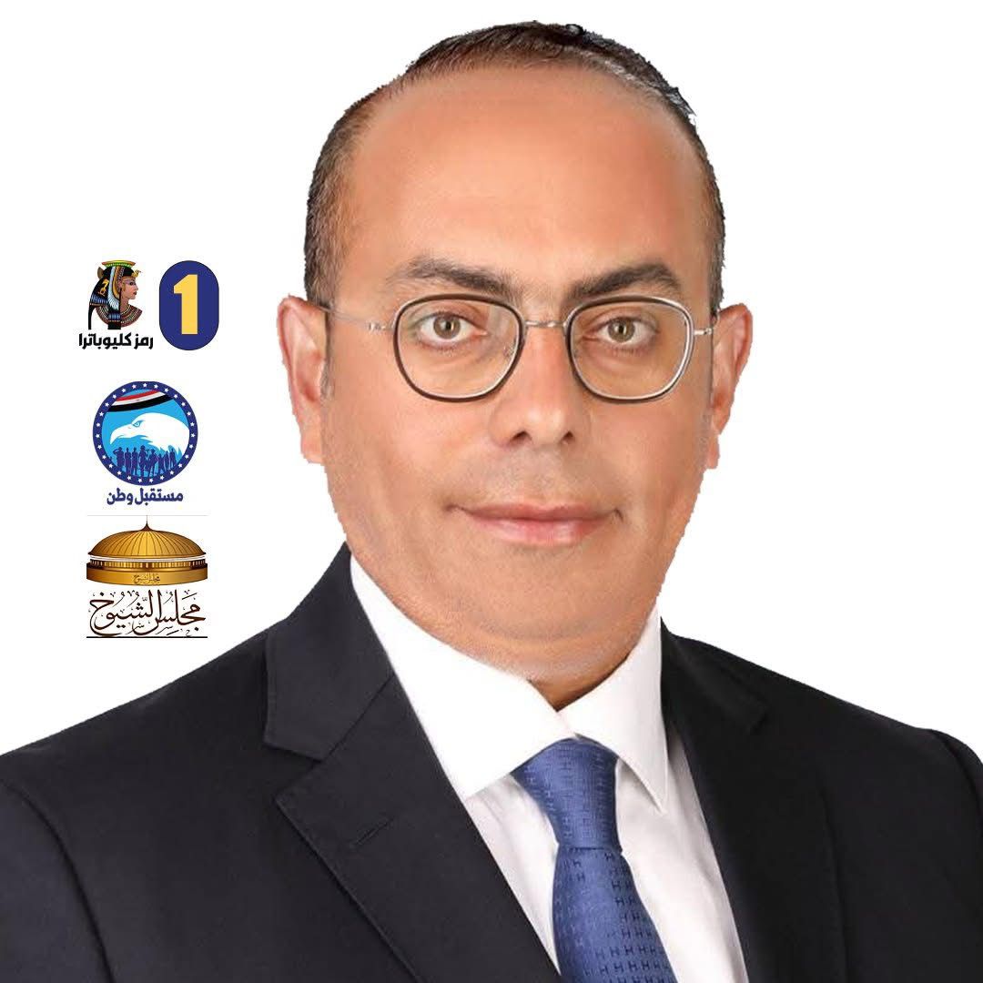 وائل طارق إسماعيل