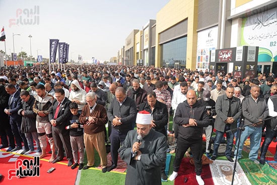 حمعة اولى فى المعرض