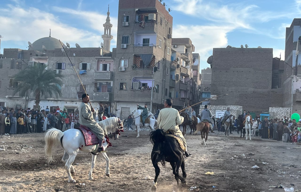 مرماح مولد القنائي 