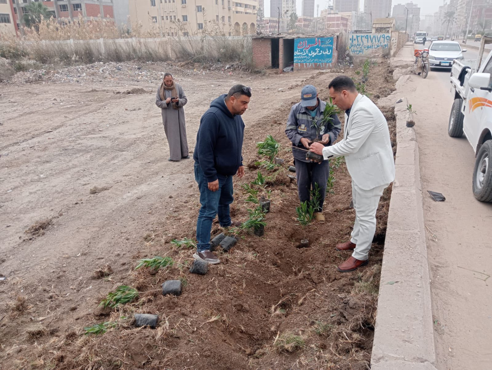 زراعة الأشجار على جانبي طريق صبري القاضي بمدينة كفرالشيخ
