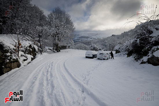 تساقط كثيف للثلوج