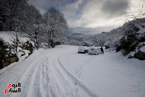 تساقط كثيف للثلوج