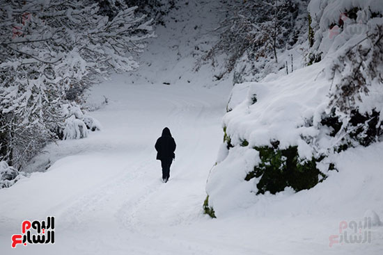 شوارع تكتسى بالثلج