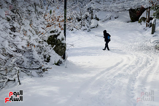 موجة شتاء قارص على ؟أوروبا