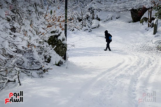 موجة شتاء قارص على ؟أوروبا