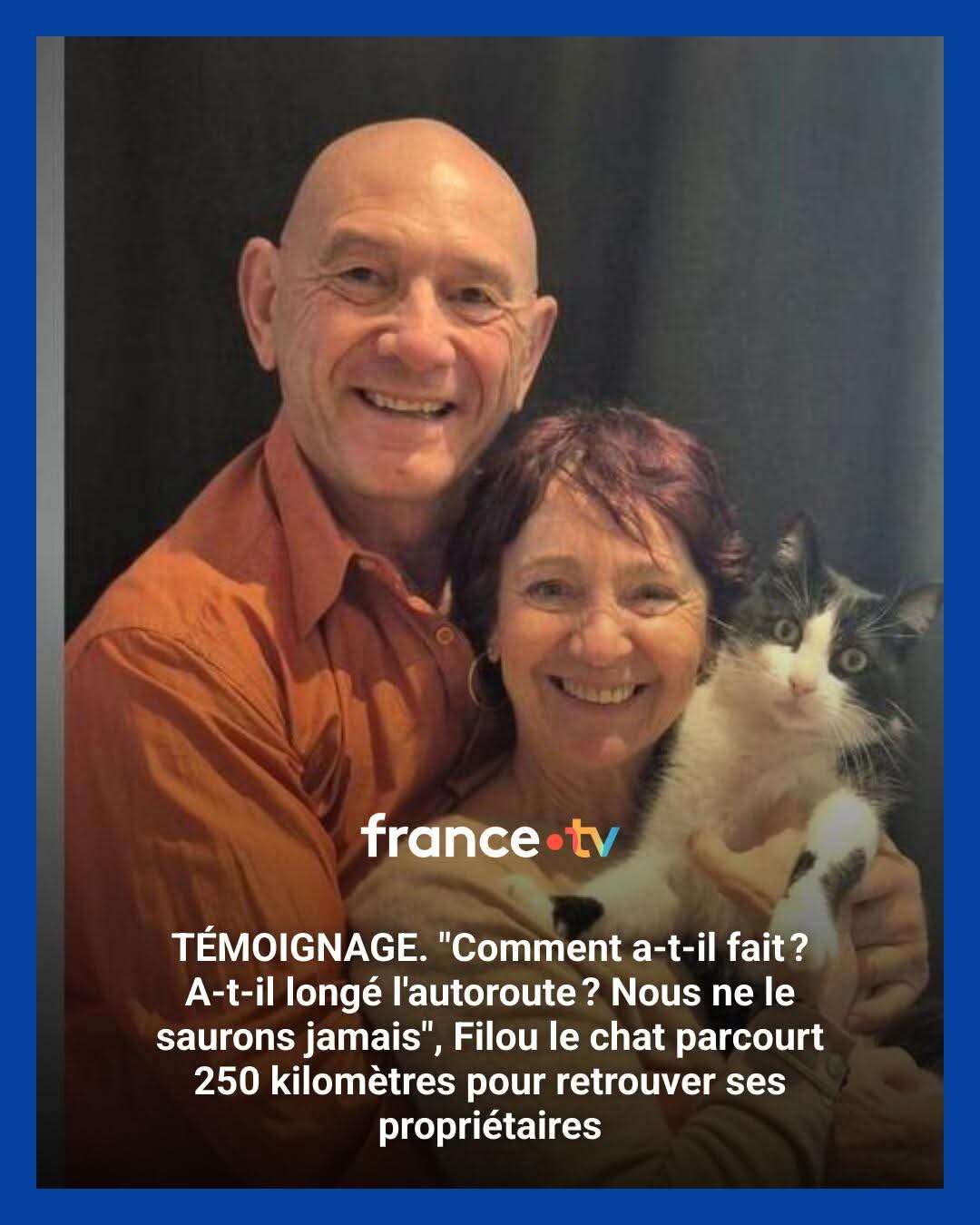 قطة تعود لأصحابه بعد 5 شهور