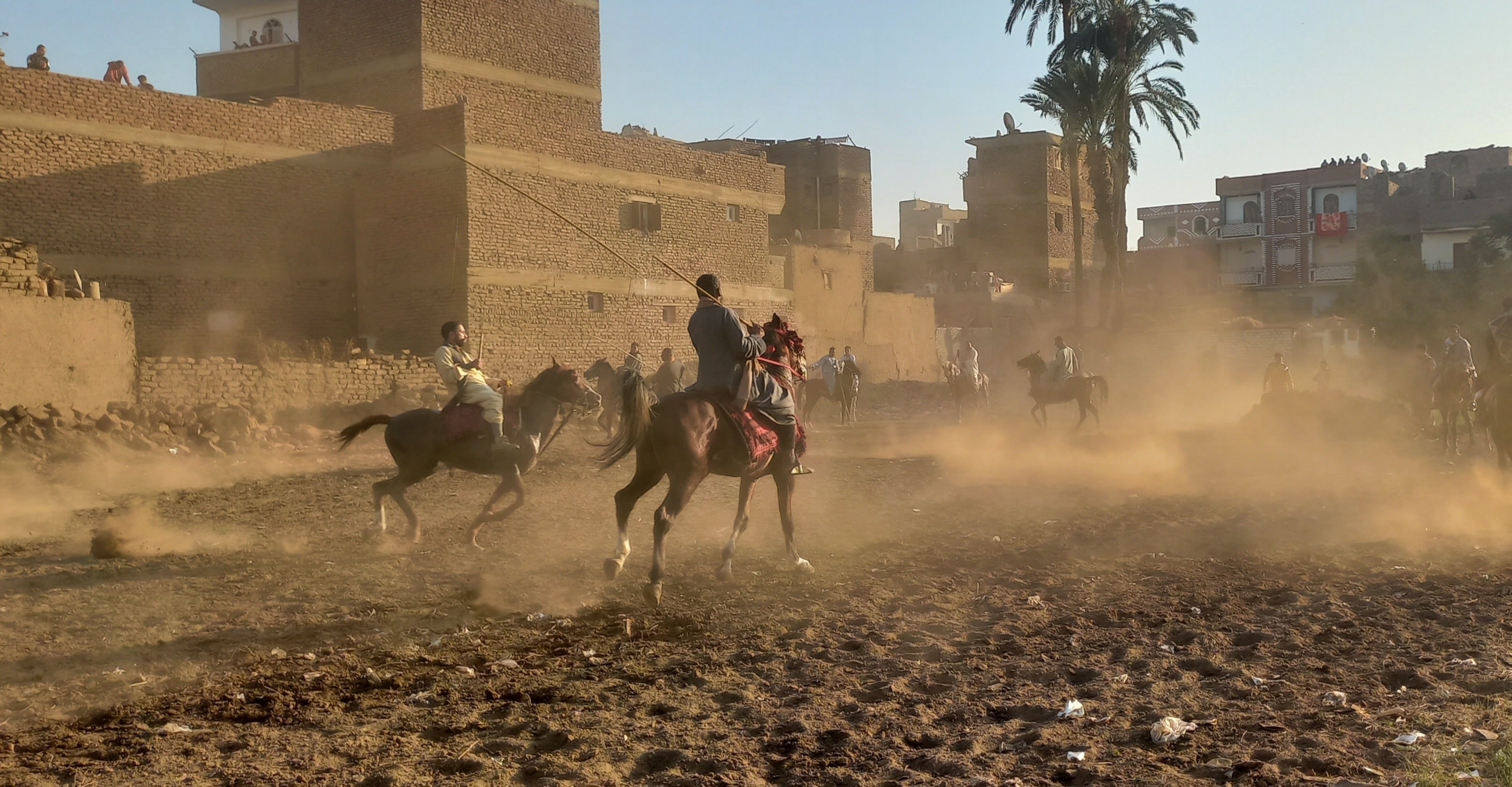 _المرماح والخيالة بقنا