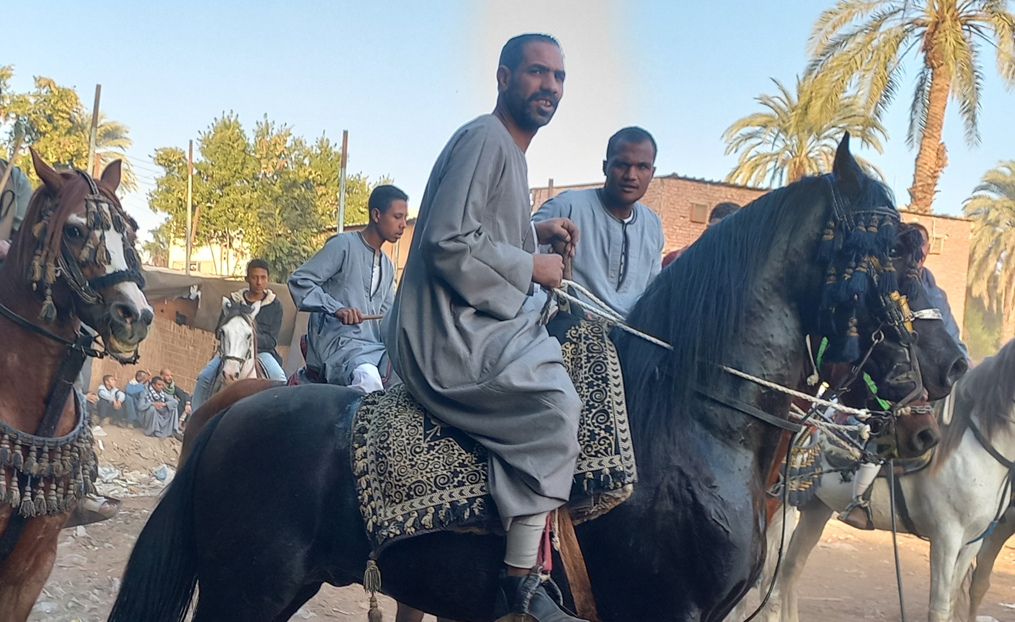 _خيالة محافظة قنا 