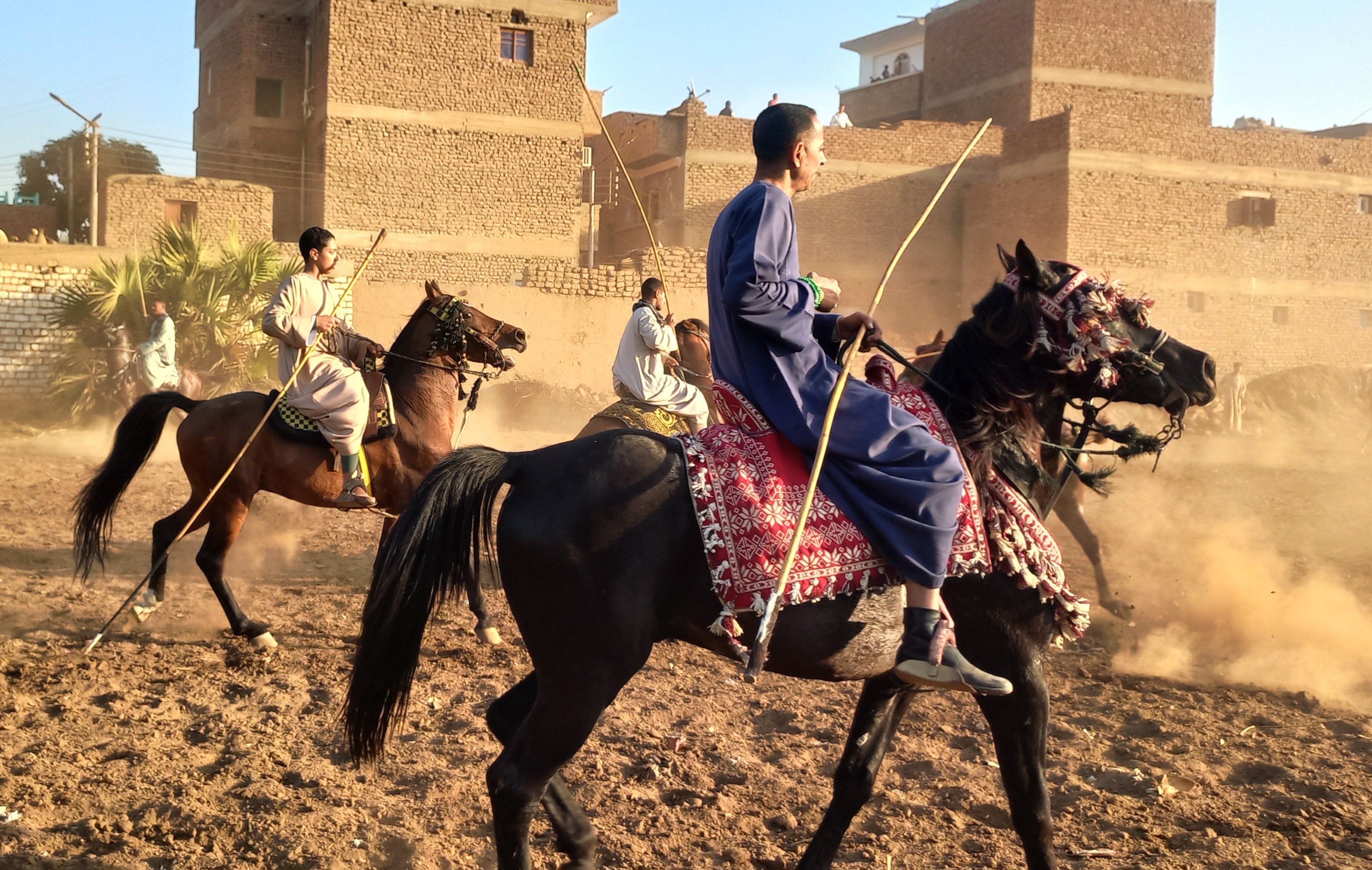 _المرماح بقنا