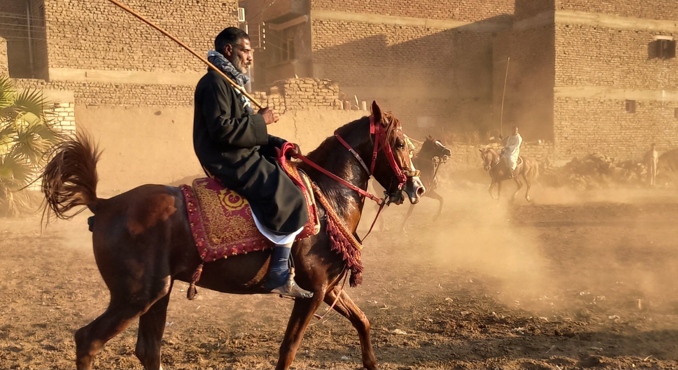 _مرماح القنائي بقنا