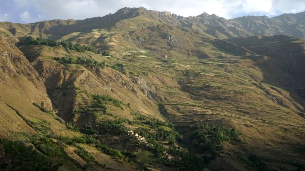 الصيد بالنسور.. رحلة اكتشاف الحياة البرية فى كازاخستان (3)