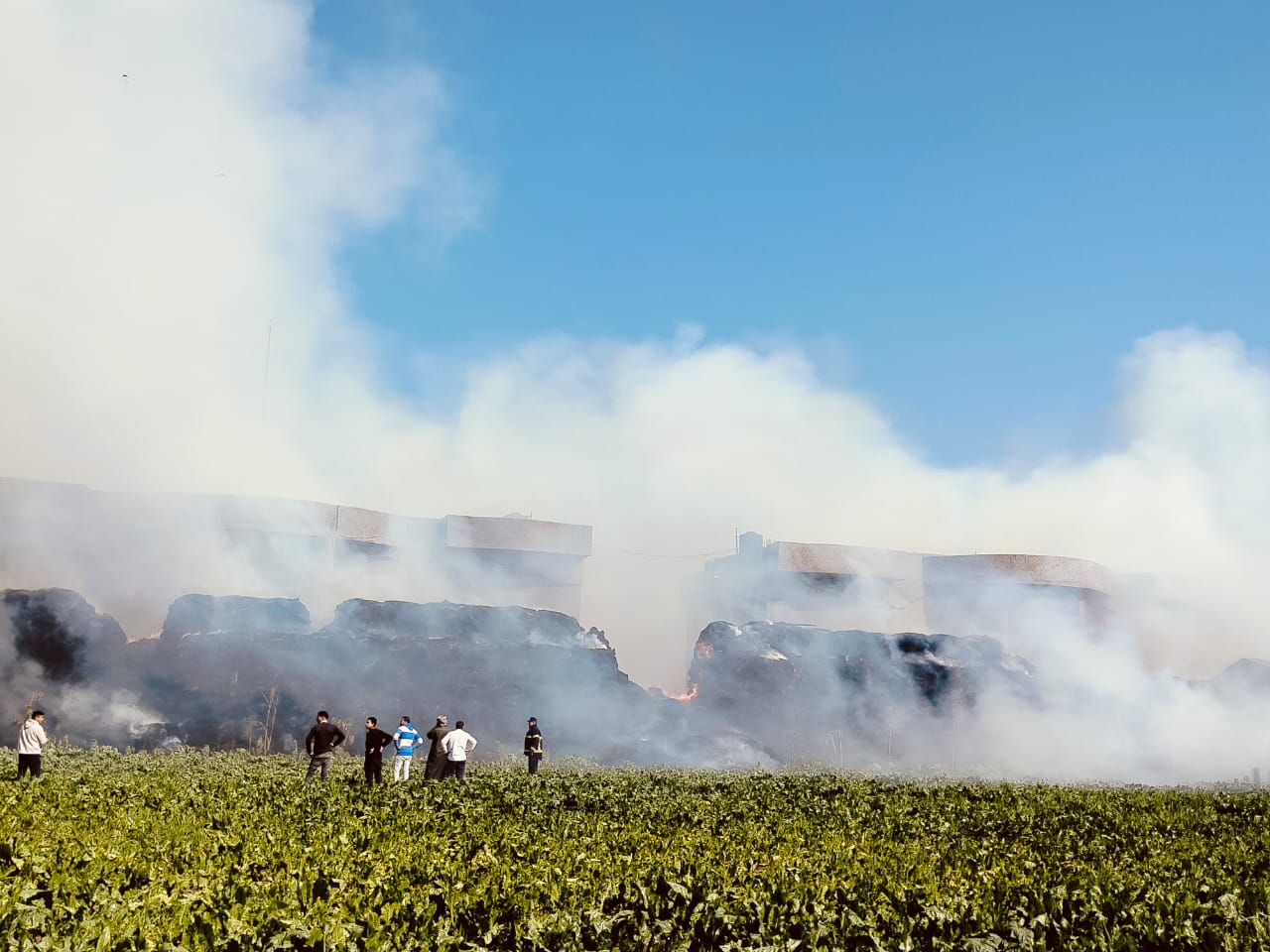 جانب من الحريق