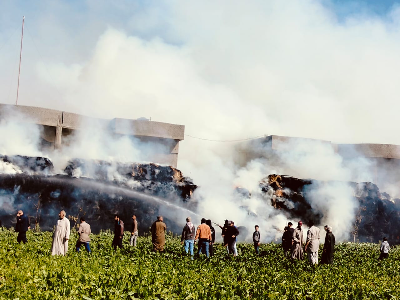 جانب من الحريق بشونة القش